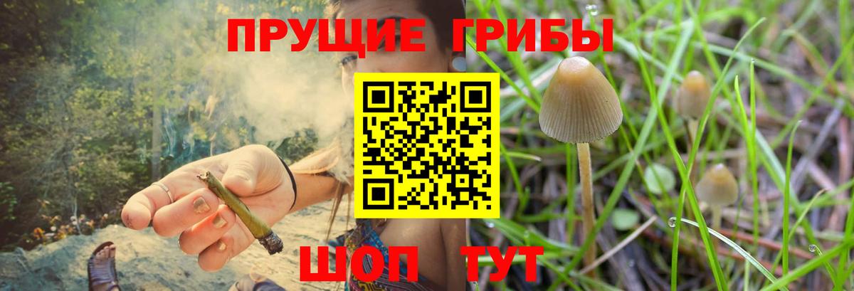 Псилоцибиновые грибы мицелий  Вход с VPN  Псилоцибиновые грибы Psilocybine cubensis  Заинск 